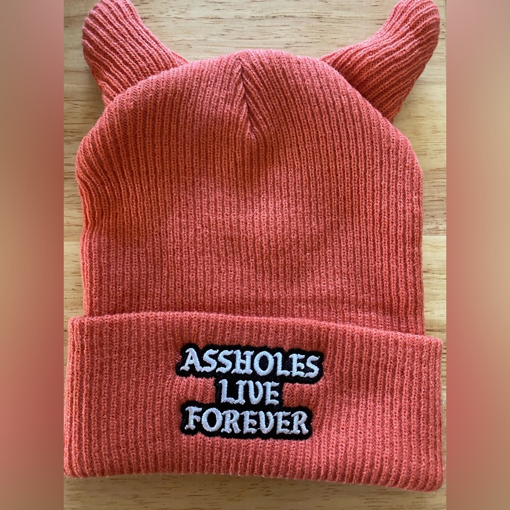 Assholes live forever beanie